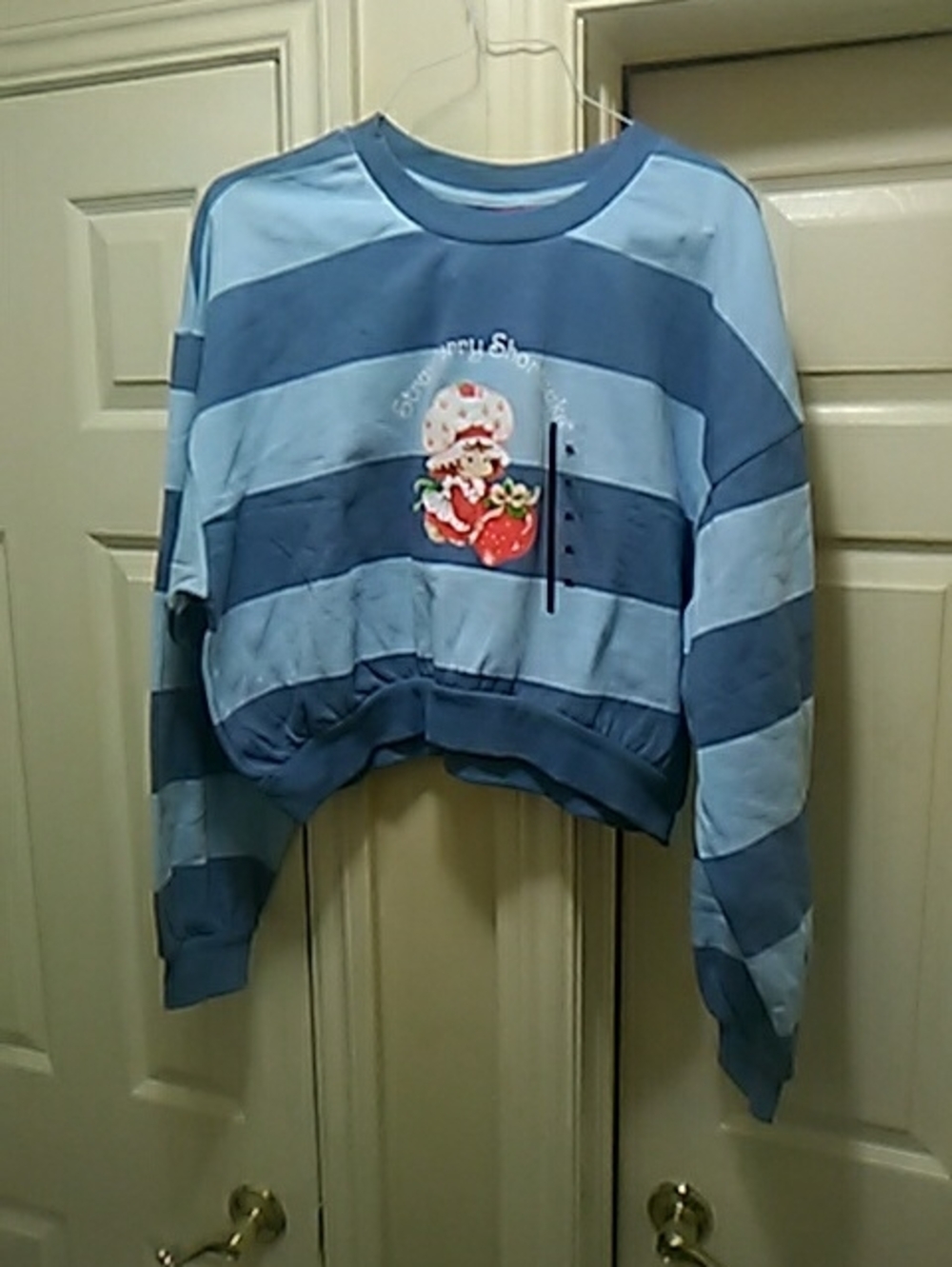 Blue Striped Cropped Strawberry Graphic Sweatshirt
